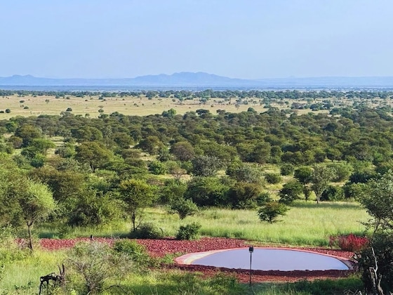 Gallery - Kirawira Serena Camp