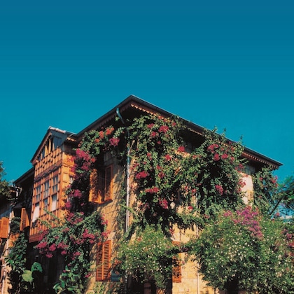 Gallery - Begonville Pansiyon