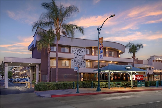 Gallery - Best Western Plus Park Place Inn & Mini Suites