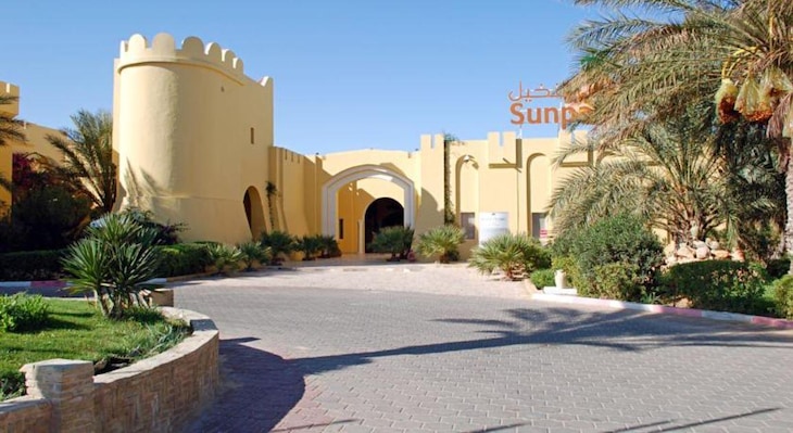 Gallery - Sun Palm