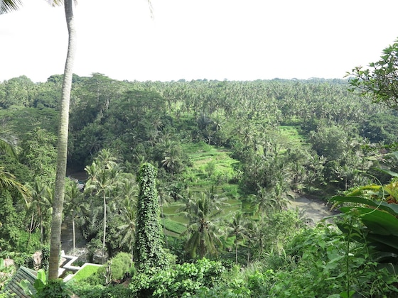 Gallery - Taman Bebek Resort & Spa