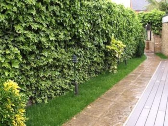Gallery - Spark By Hilton London Chiswick