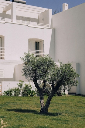 Gallery - Masana Algarve