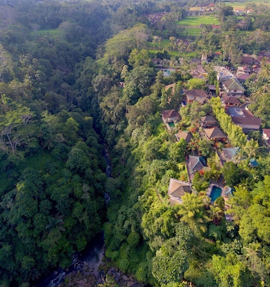 Gallery - Tanah Merah Art Resort