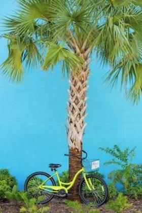 Gallery - Lexington Hotel Key West