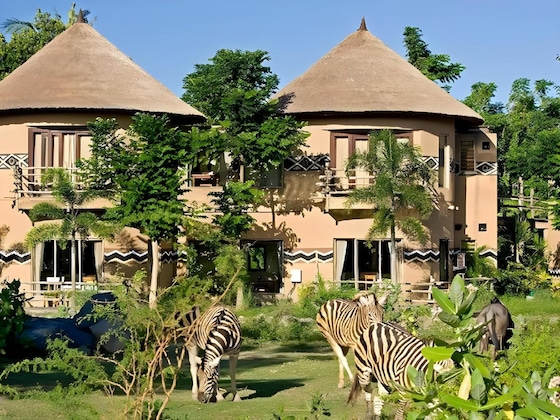 Gallery - Mara River Safari Lodge