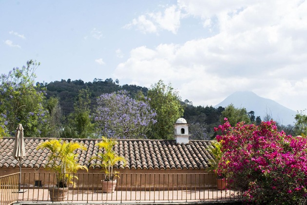 Gallery - Posada De Los Leones