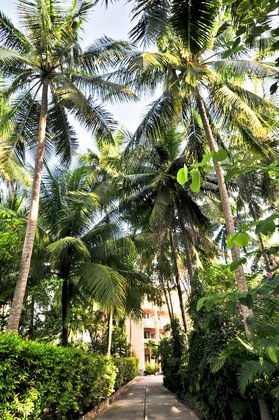 Gallery - Sea Star Resort Phu Quoc