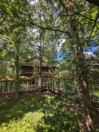 Gallery - Marwell Hotel