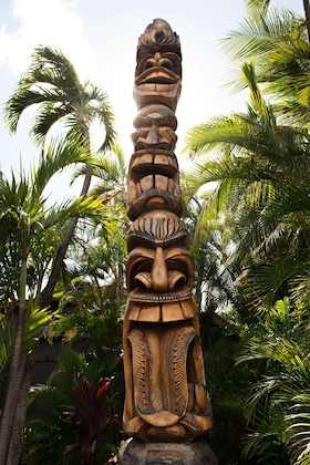 Gallery - Kaanapali Ocean Inn