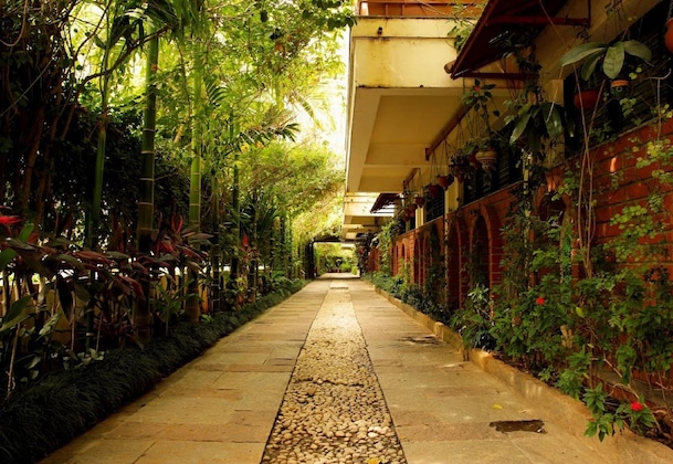 Gallery - The Green Path Eco