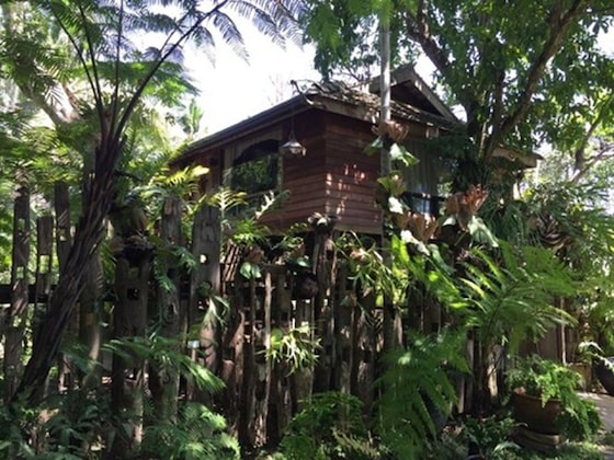 Gallery - Fern Paradise