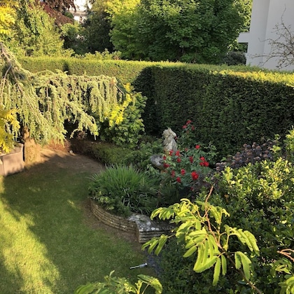 Gallery - Hôtel Des Cèdres