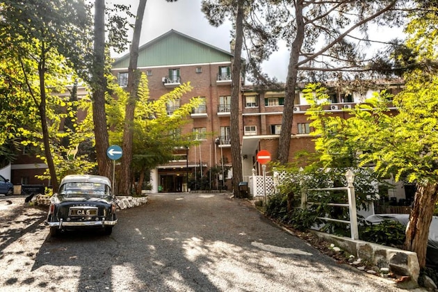 Gallery - Forest Park Hotel