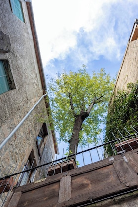 Gallery - La Freixera