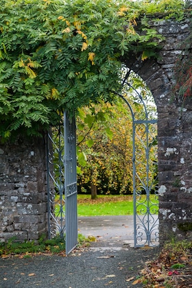 Gallery - Llangoed Hall