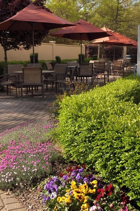 Gallery - Greenville Marriott