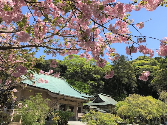 Gallery - Mercure Fukuoka Munakata Resort & Spa