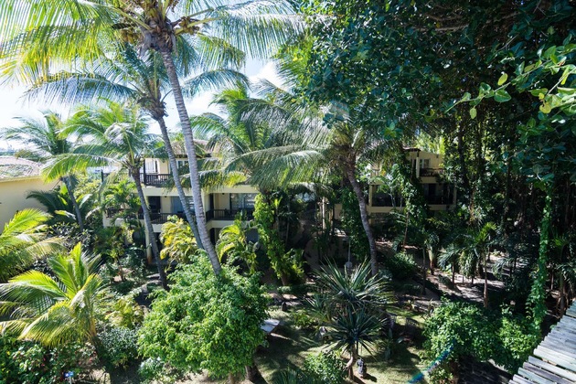 Gallery - Hibiscus Boutique Hotel