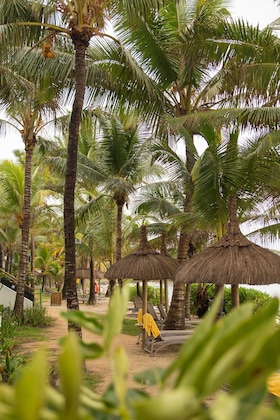 Gallery - Tropical Attitude - Adults Only