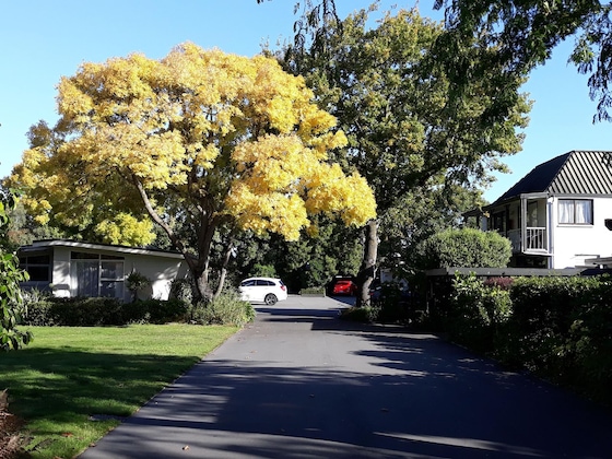 Gallery - Ashleigh Court Motel-Christchurch Hagley Park