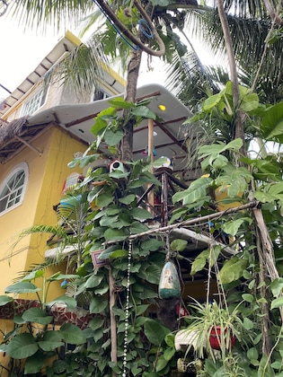 Gallery - Maison Tulum