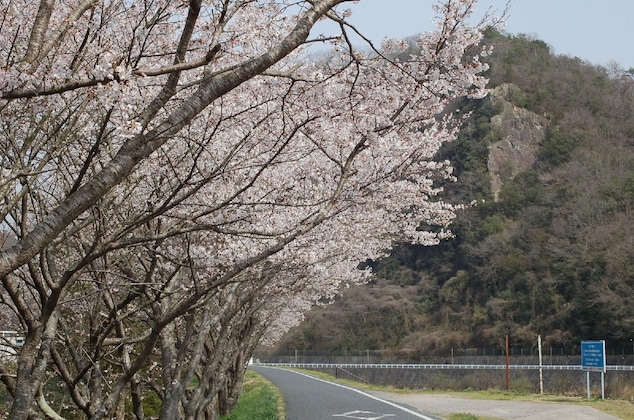 Gallery - Hananoyado Nishikien