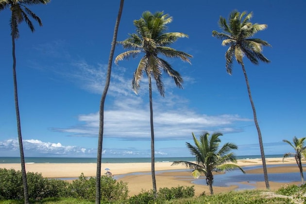 Gallery - Hotel Resort Costa Dos Coqueiros