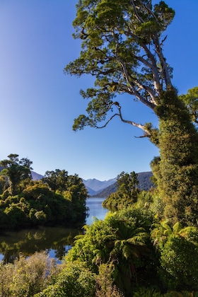 Gallery - Heartland Hotel Haast