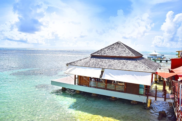 Gallery - Decameron Los Delfines All Inclusive