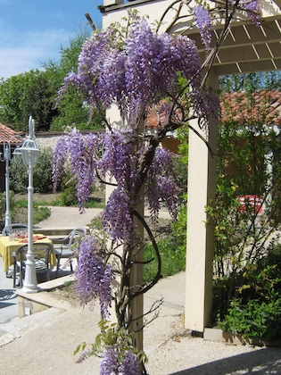 Gallery - Le Continental Hotel