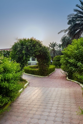 Gallery - Flamingo Beach Hotel