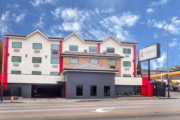 Gallery - Avenue Hotel, Ascend Hotel Collection