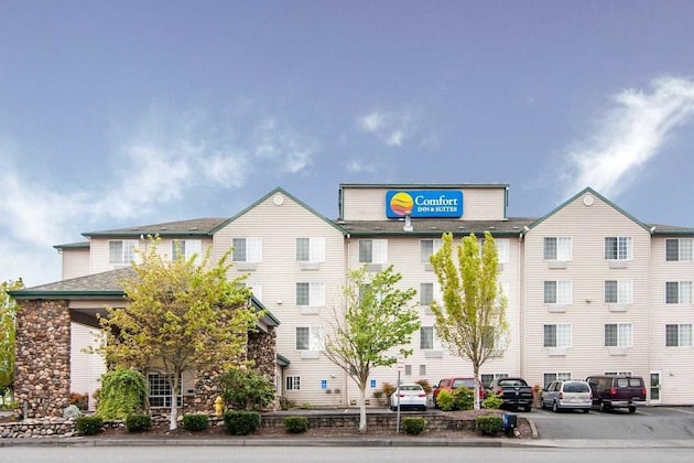 Gallery - Comfort Inn & Suites