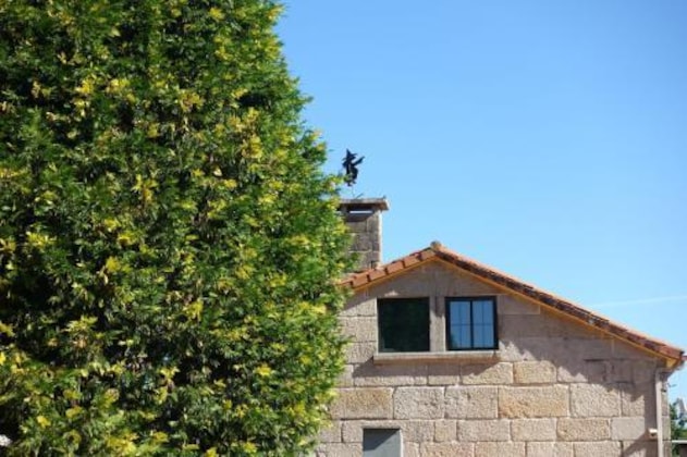 Gallery - Casa Videira