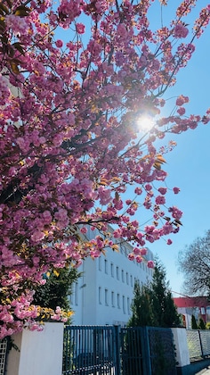 Gallery - Hotel Am Rhein - Wesseling