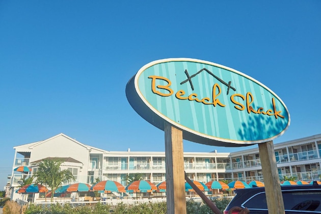 Gallery - The Beach Shack