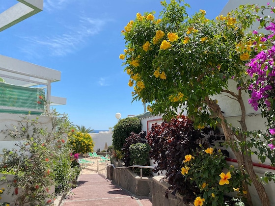 Gallery - Acapulco Ocean View