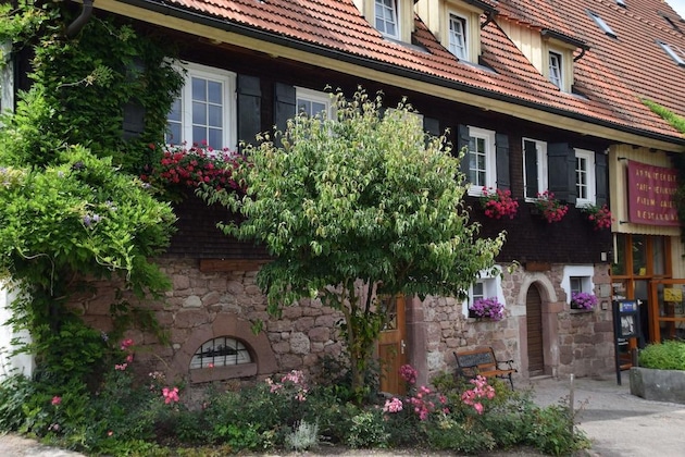 Gallery - Gutshof Hotel Waldknechtshof