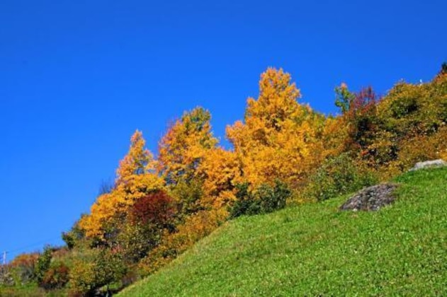 Gallery - Hotel Wiese