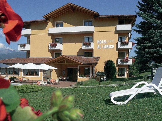 Gallery - Hotel e Appartamenti Al Larice