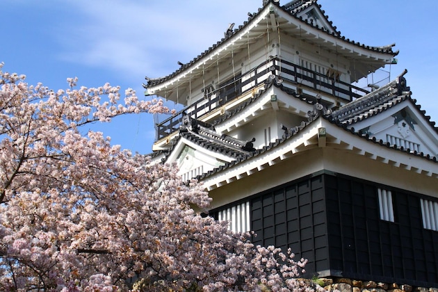 Gallery - Hotel Concorde Hamamatsu