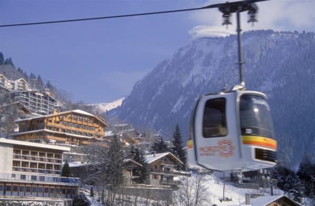 Gallery - Le Dahu Hotel-Chalet De Tradition