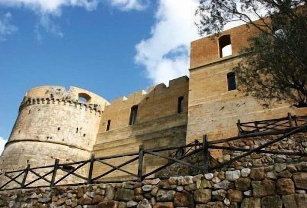 Gallery - Hotel Degli Ulivi