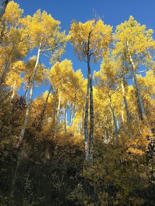 Gallery - Poste Montane Lodge