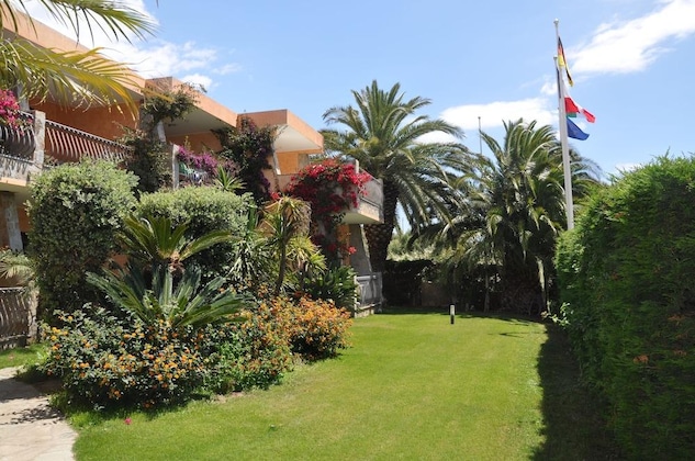 Gallery - Palm Village