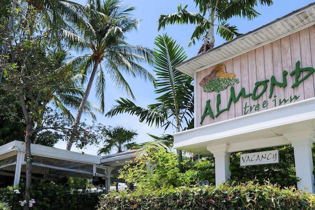 Gallery - Almond Tree Inn Hotel - Adults Only