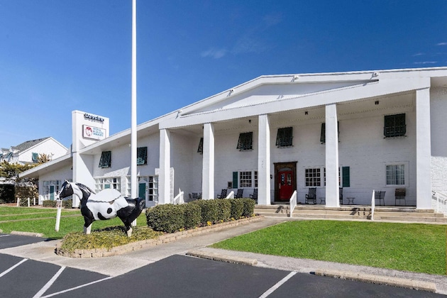 Gallery - Days Inn By Wyndham Kill Devil Hills Oceanfront - Wilbur