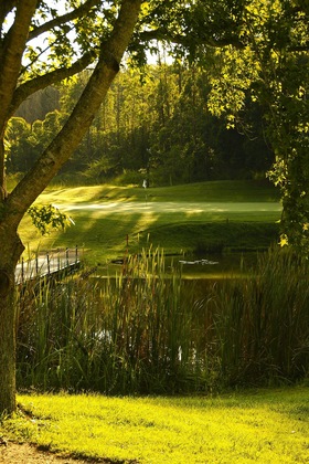 Gallery - Oliver's Restaurant & Lodge