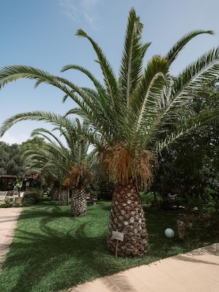 Gallery - Flow Datca Surf & Beach Hotel